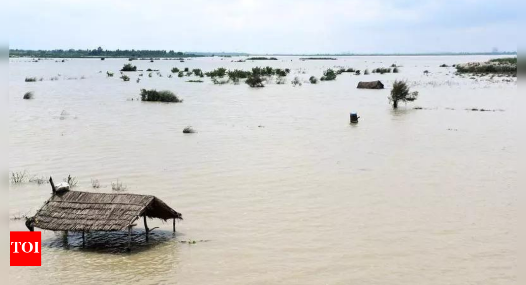 Delhi braces for floods as Yamuna nears danger mark; CM Rekha Gupta says evacuation underway
